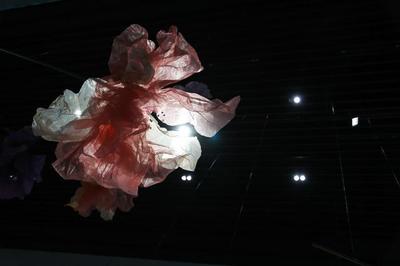 厦门仧美术馆2021年度波普大展“Art for All-安迪·沃霍尔”开幕