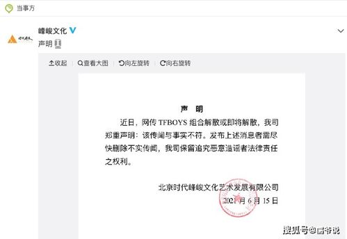 专注音乐的王源成立影视公司,将和周杰伦一起参演好莱坞大片 极限特工4