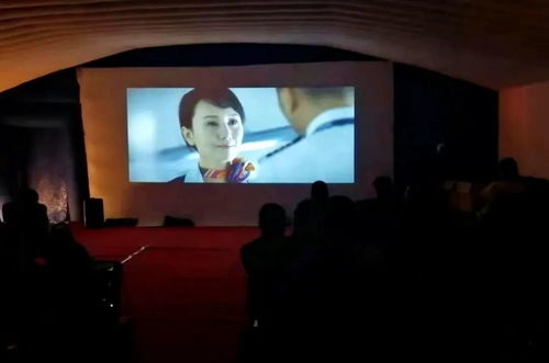 呼和浩特市赛罕区 党建引领聚合力 携手为民办实事