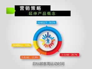娃哈哈 激活 2013 2016年度市场营销策划方案