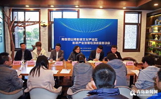 灵山湾影视企业获2042万影视专项资金