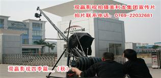 双赢影视 电视广告摄制与市场营销策划的一体化解决方案